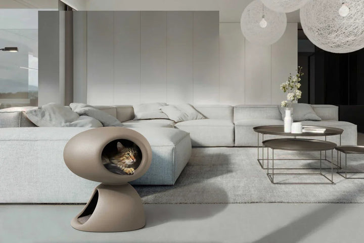 Katze liegt in grauer Katzenhöhle im modernen Wohnzimmer mit Sofa und Couchtisch